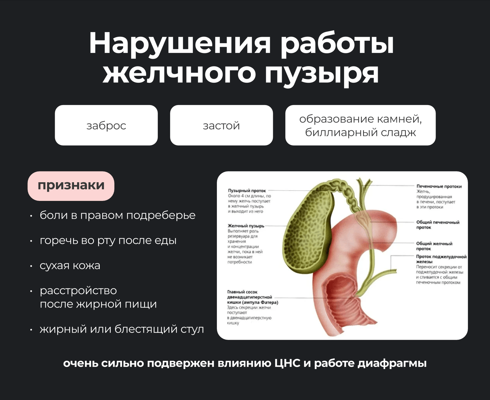 Материал дня 1